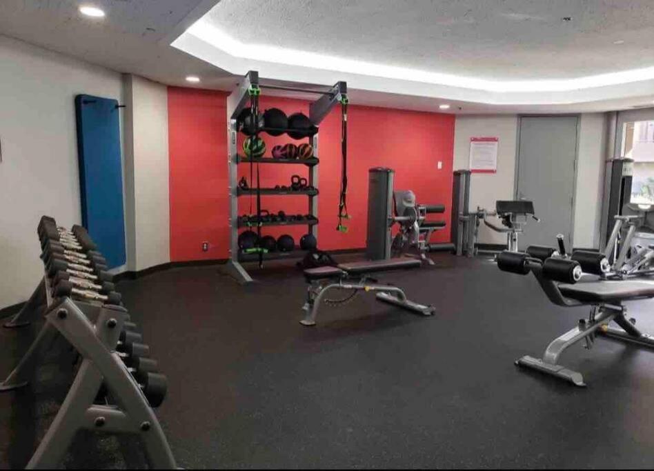Apartment Downtown La ! 2 Bedrooms Modern Unit In Tower *