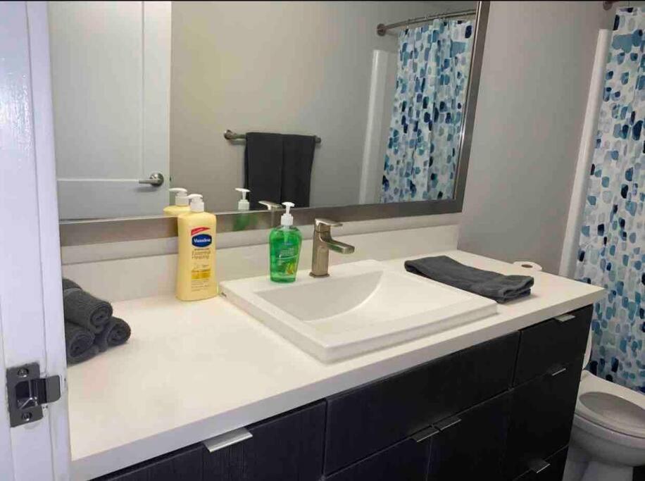 Downtown La ! 2 Bedrooms Modern Unit In Tower Apartment