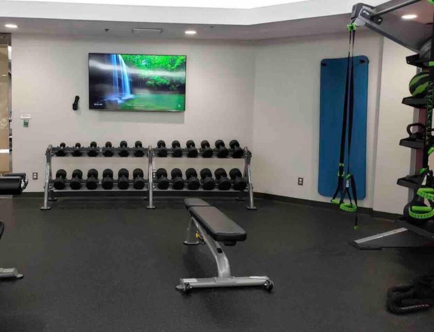 Downtown La ! 2 Bedrooms Modern Unit In Tower Apartment *