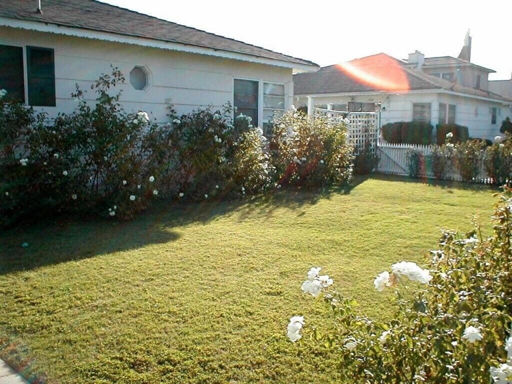 Adorable Garden ~ A Lovely Escape With Private Enclosed Gardens