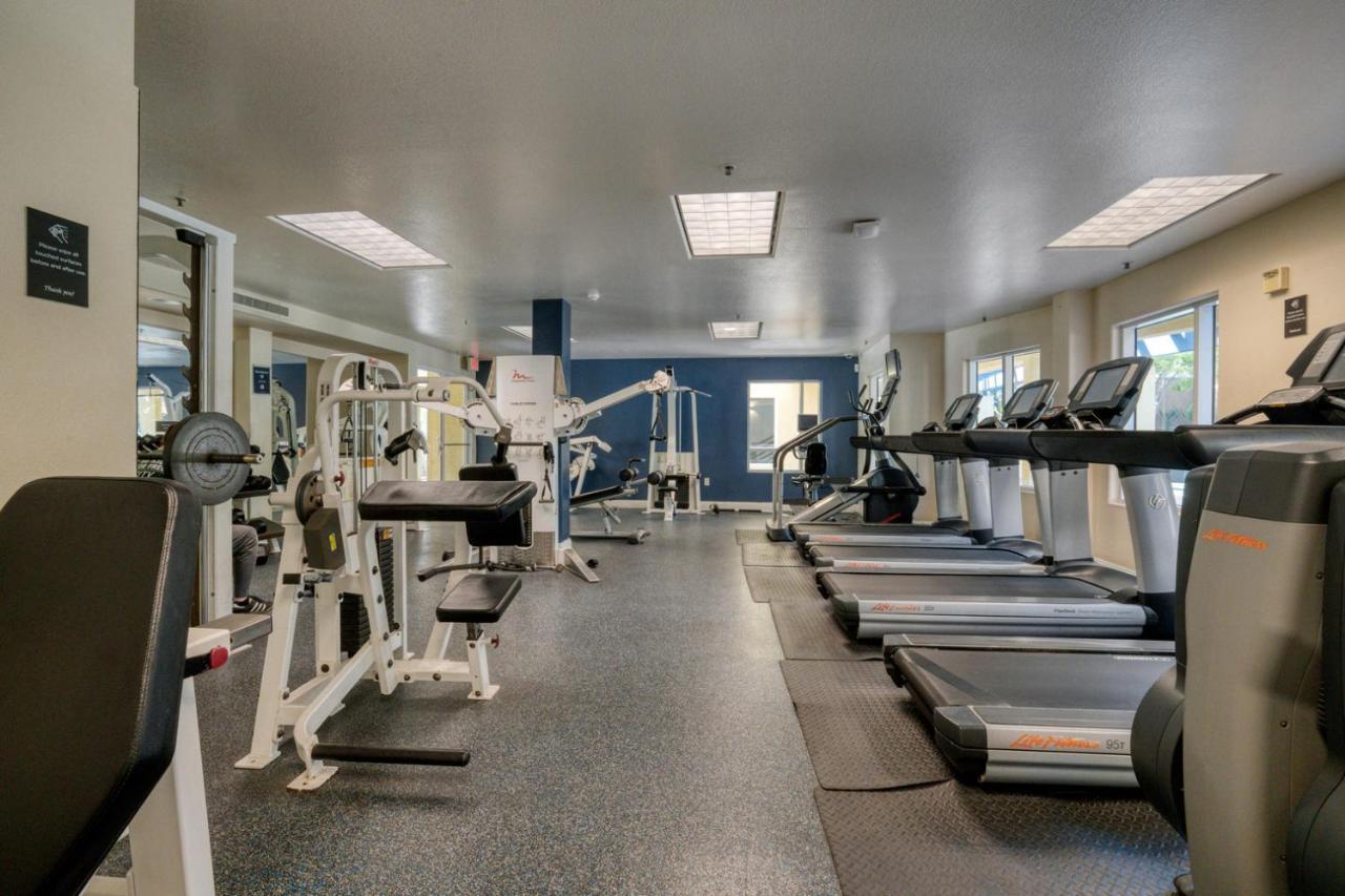 Playa Del Rey 2br W Pool Jacuzzi Gym Nr Lax Lax-771 Apartment *