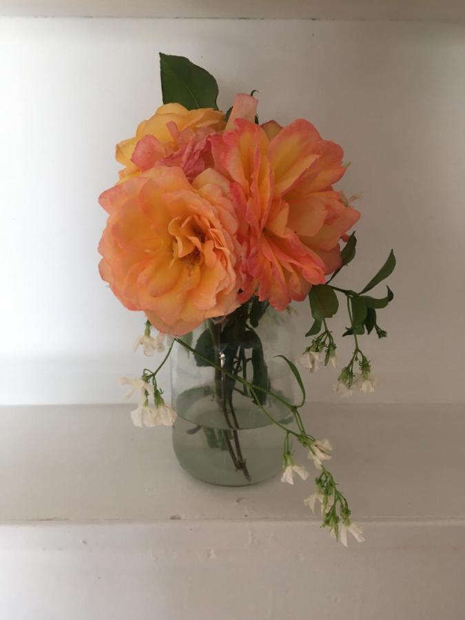 Adorable Garden ~ A Lovely Escape With Private Enclosed Gardens Apartment Los Angeles