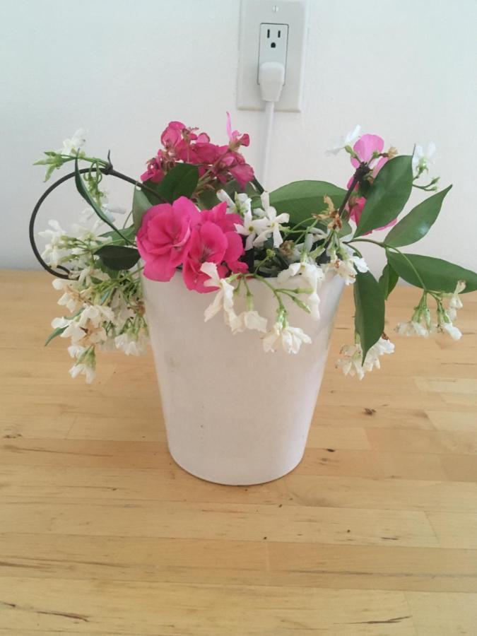 Adorable Garden ~ A Lovely Escape With Private Enclosed Gardens Apartment Los Angeles
