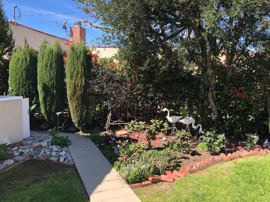 1 Bedroom House In Beverlywood/carthay Square *