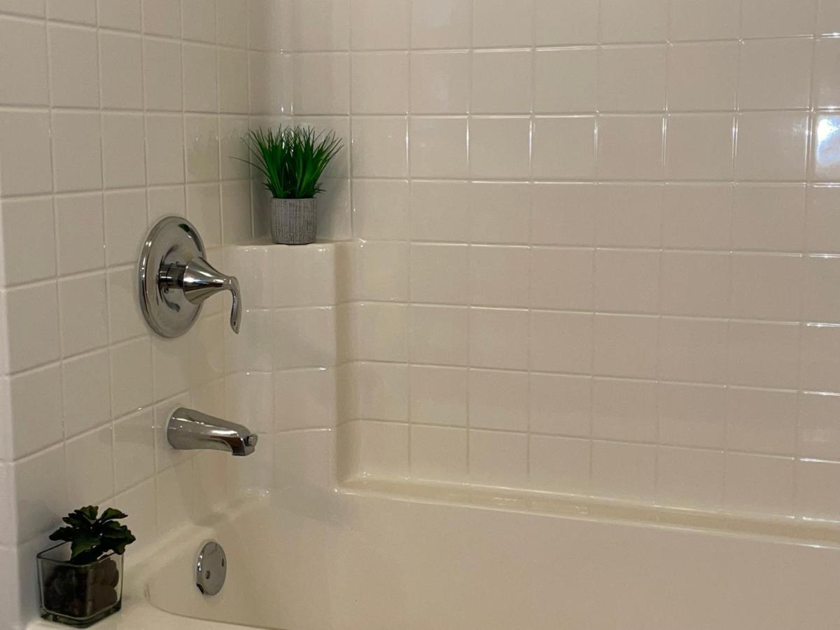 Apartment Sleep 6 Venice In 5 Minutes Two Bedroom Los Angeles