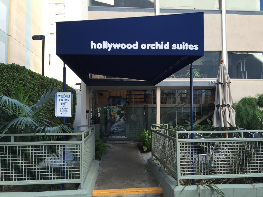 Hollywood Orchid