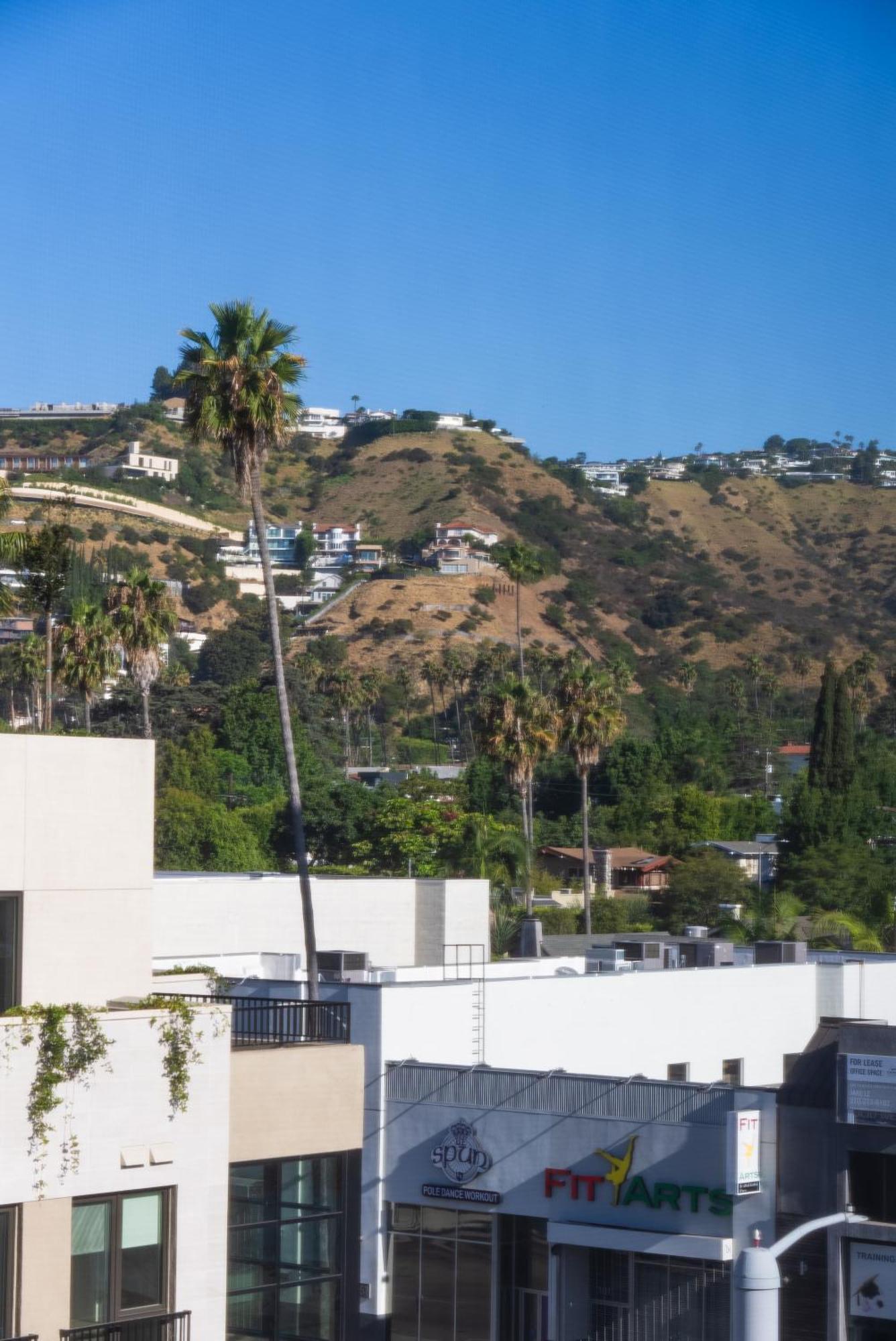 Bright On Sunset Blvd, Free Parking, Gym, And Pool Apartment