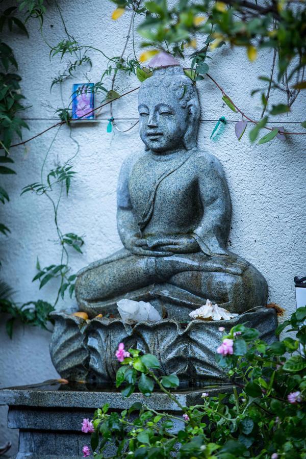 The Treehouse, Bel Air - A Vegan Bed & Breakfast *