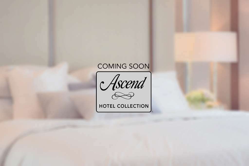 818 + Pool, Ascend Collection By Choice 2*