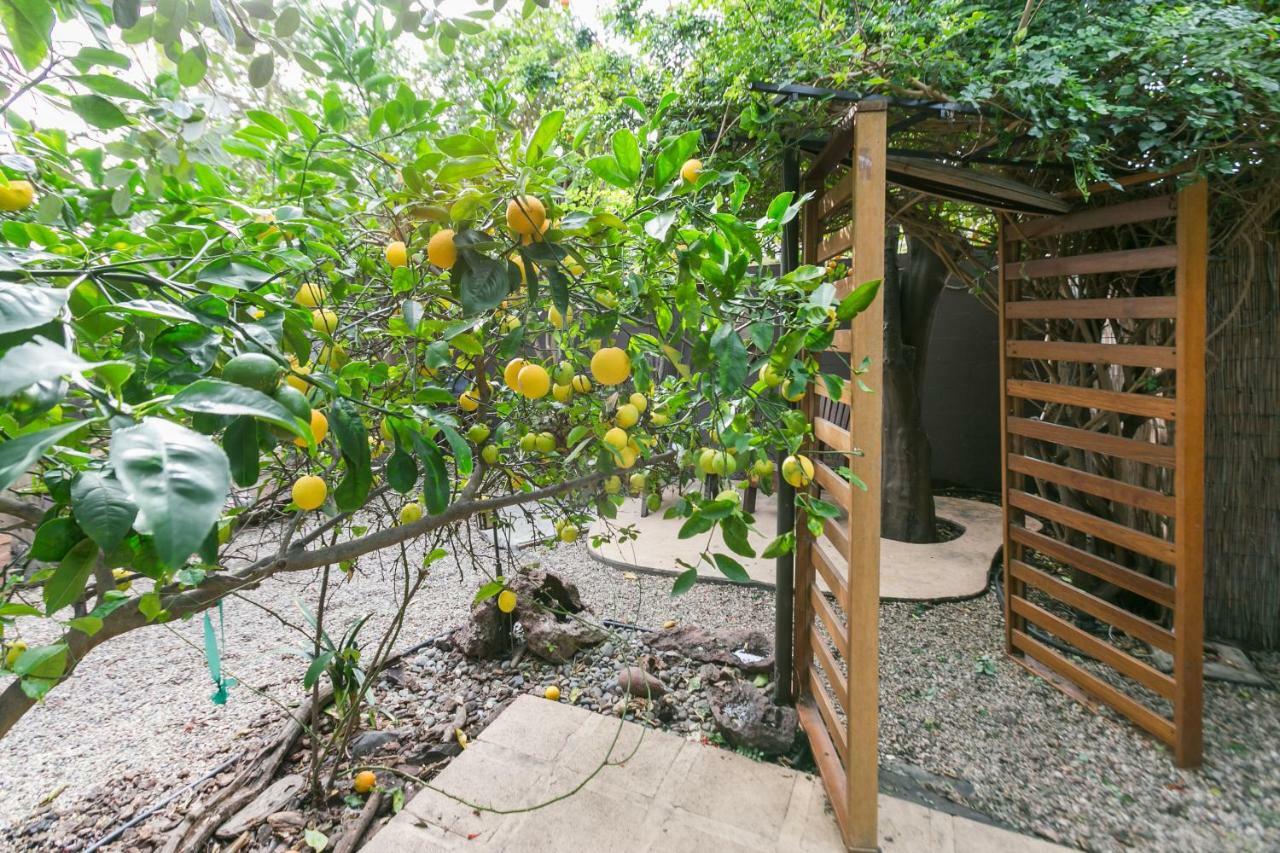 Charming 1-bedroom Near Downtown Culver
