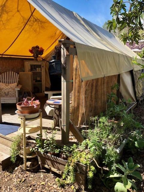 La Boheme Living Luxury tent Los Angeles