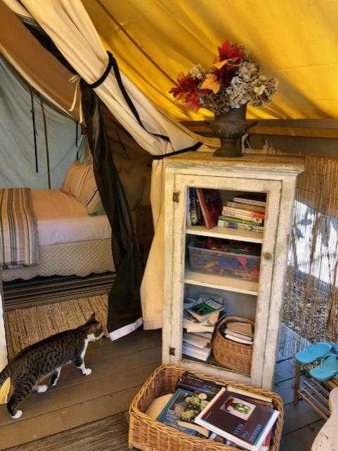 La Boheme Living Luxury tent *