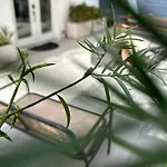 Resort Getaway In Private Garden Terrace Villa W Luxury Amenities