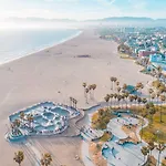 Hollywood Blue Habitat