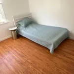 Cute Room In Best Area Of Hollywood