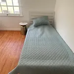 Cute Room In Best Area Of Hollywood