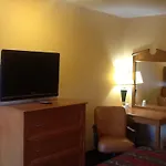 Palm Tree Inn