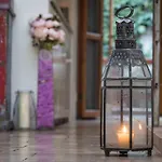 The Treehouse, Bel Air - A Vegan Villa