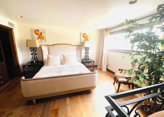 The Cozy Villa