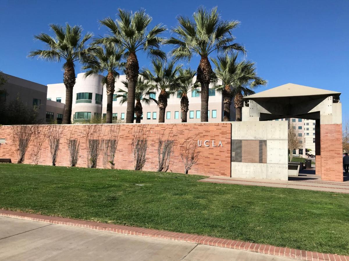 Apartment Perfect Near Ucla W Parking Gym Pool Wifi In Westwood B3