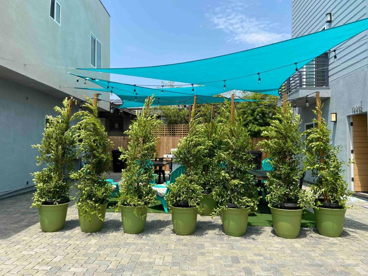 Ahsa Oasis Hostel Hostel *