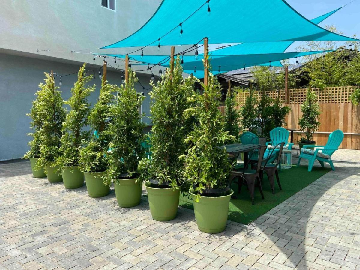 Ahsa Oasis Hostel Hostel