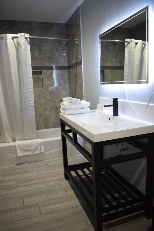 Hotel Willow Tree & Los Angeles