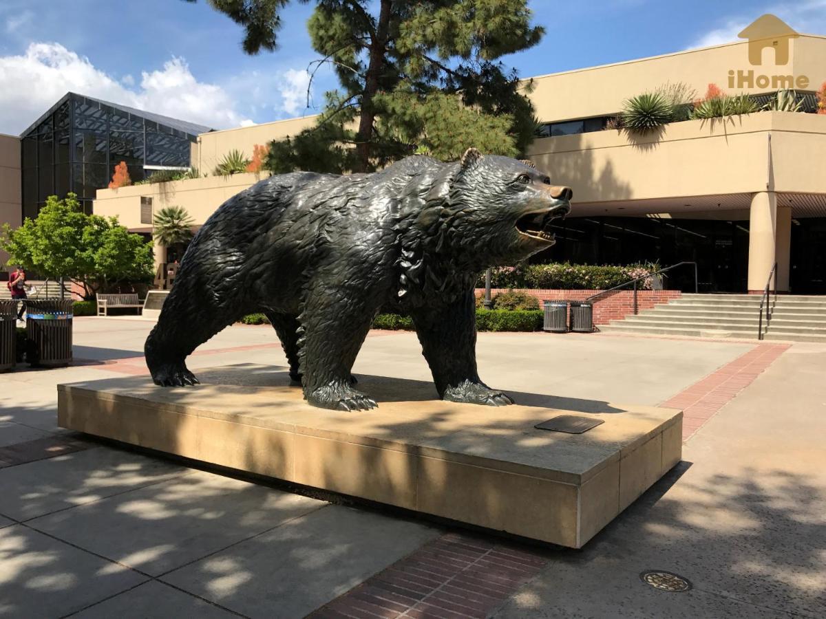 Perfect Near Ucla W Parking Gym Pool Wifi In Westwood B3