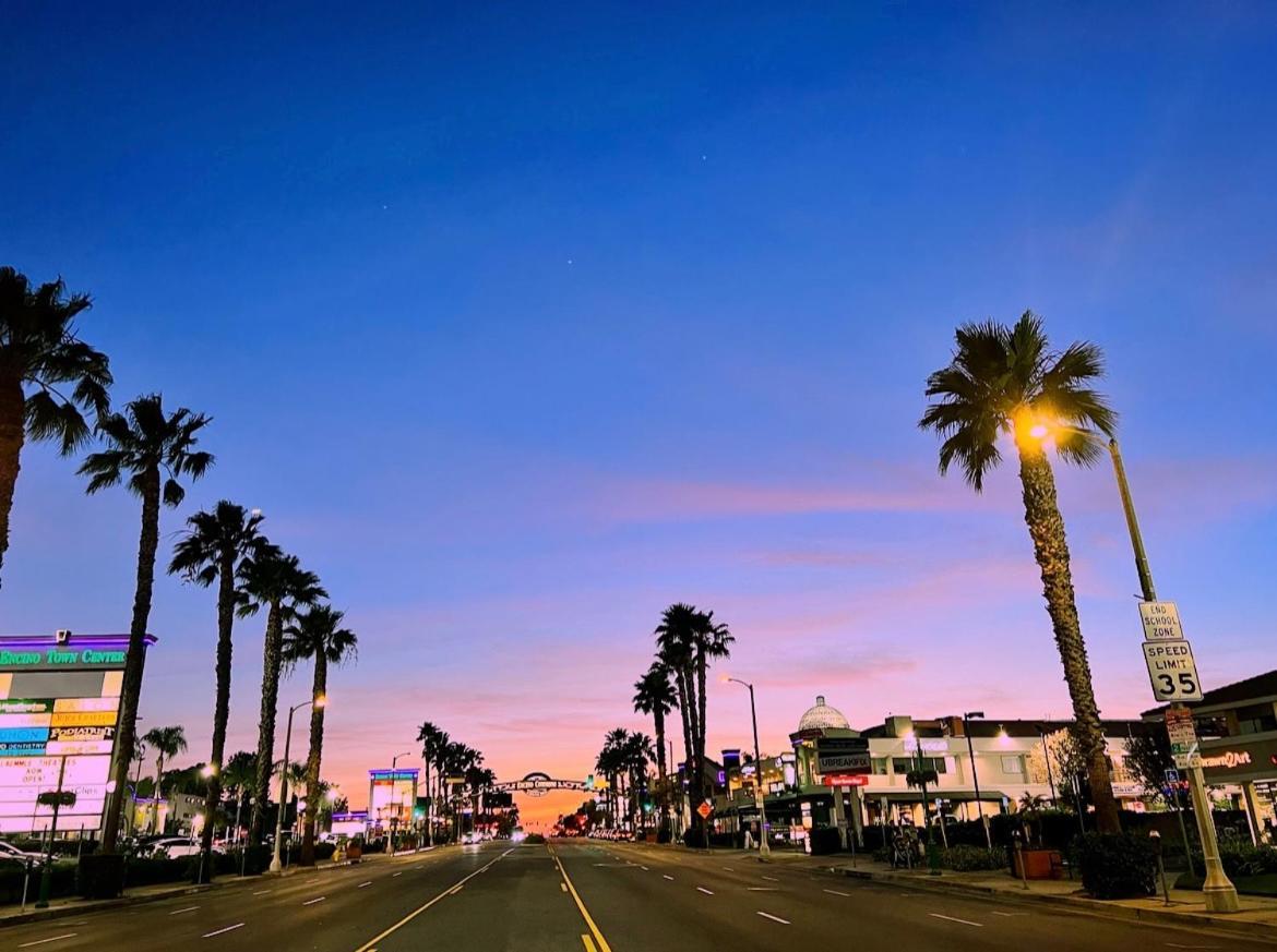 Endless Summer In La *heated Pool/hot Tub/cabana* Holiday home *