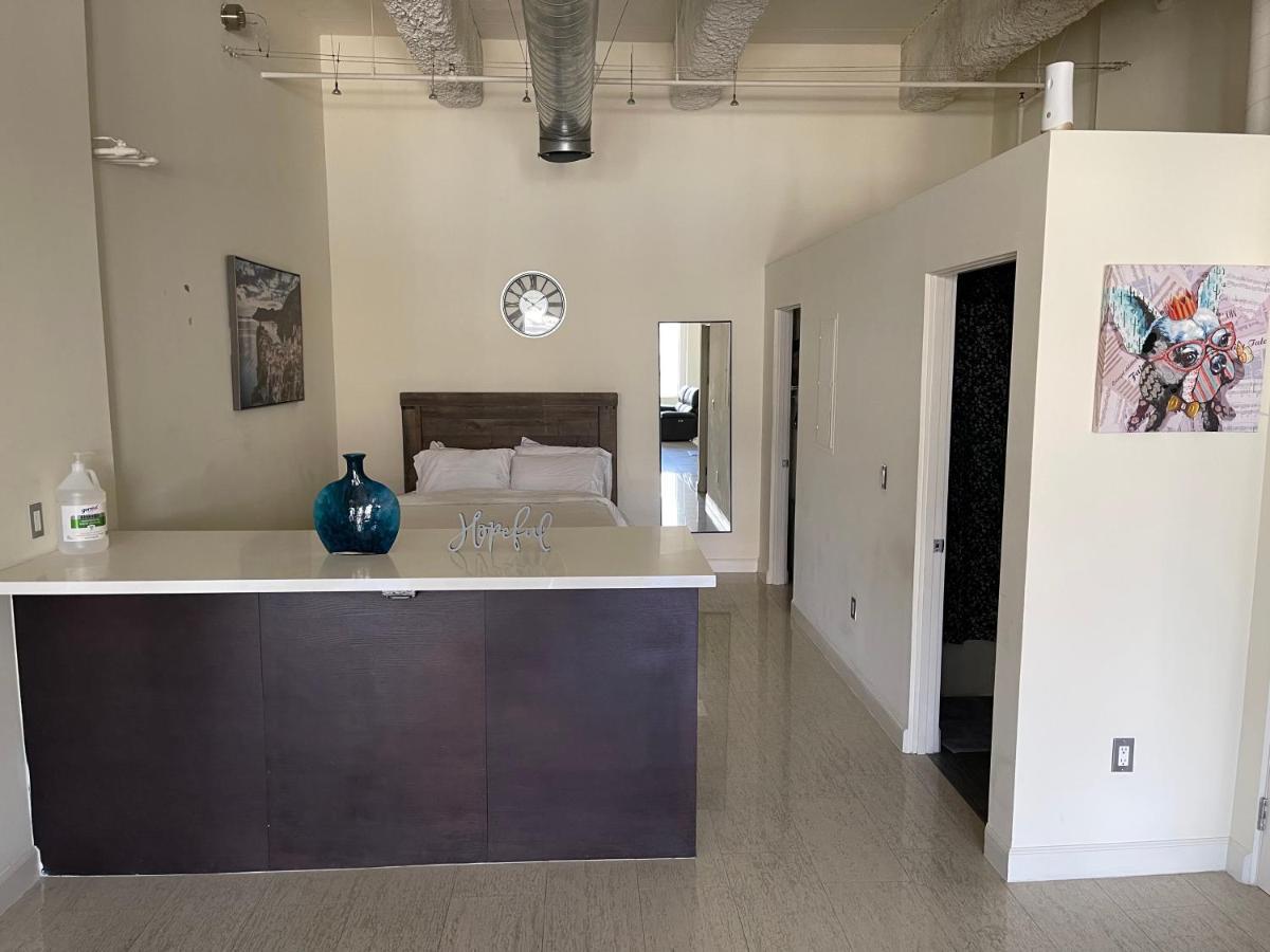 Luxury Spacious Downtown Loft Apartment *