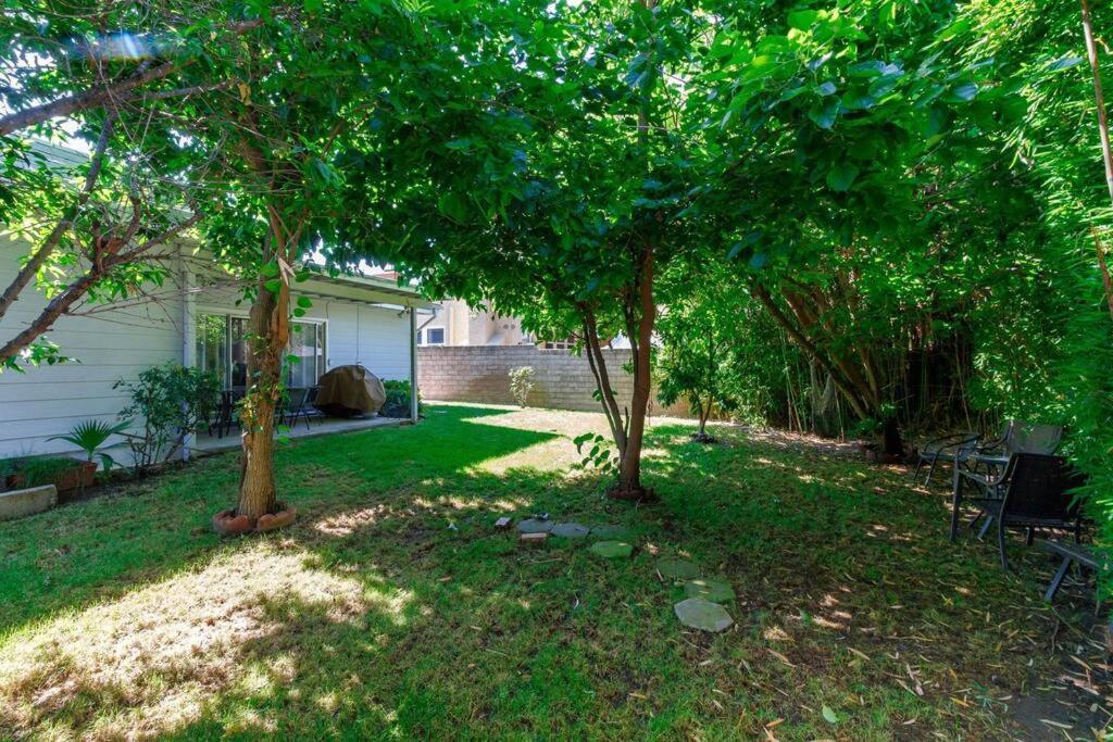 Woodland Hills Charmer *