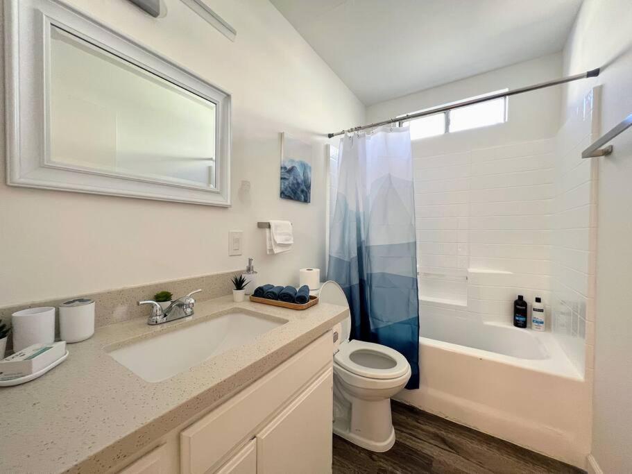 Hollywood Blue Habitat * Los Angeles
