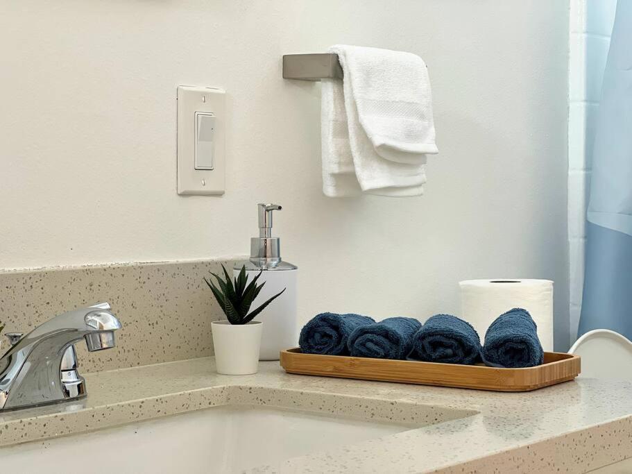 Hollywood Blue Habitat *