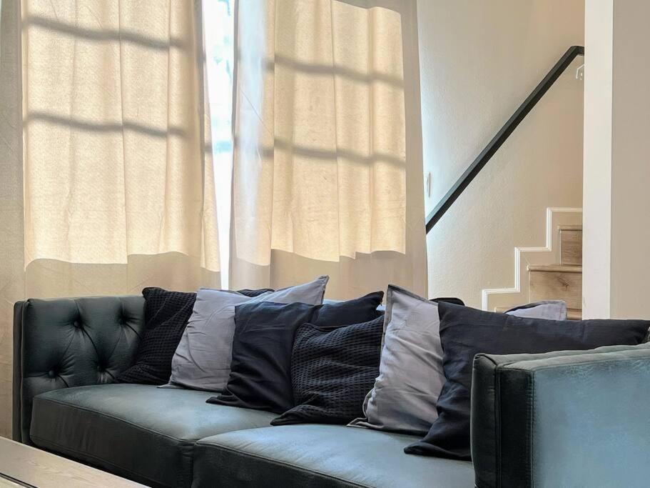 Hollywood Blue Habitat