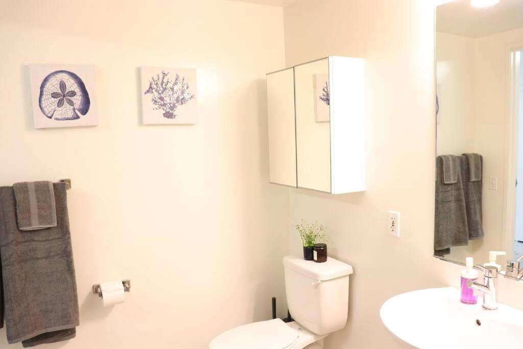 Lovely Studio On The Promenade With Parking! Apartment *