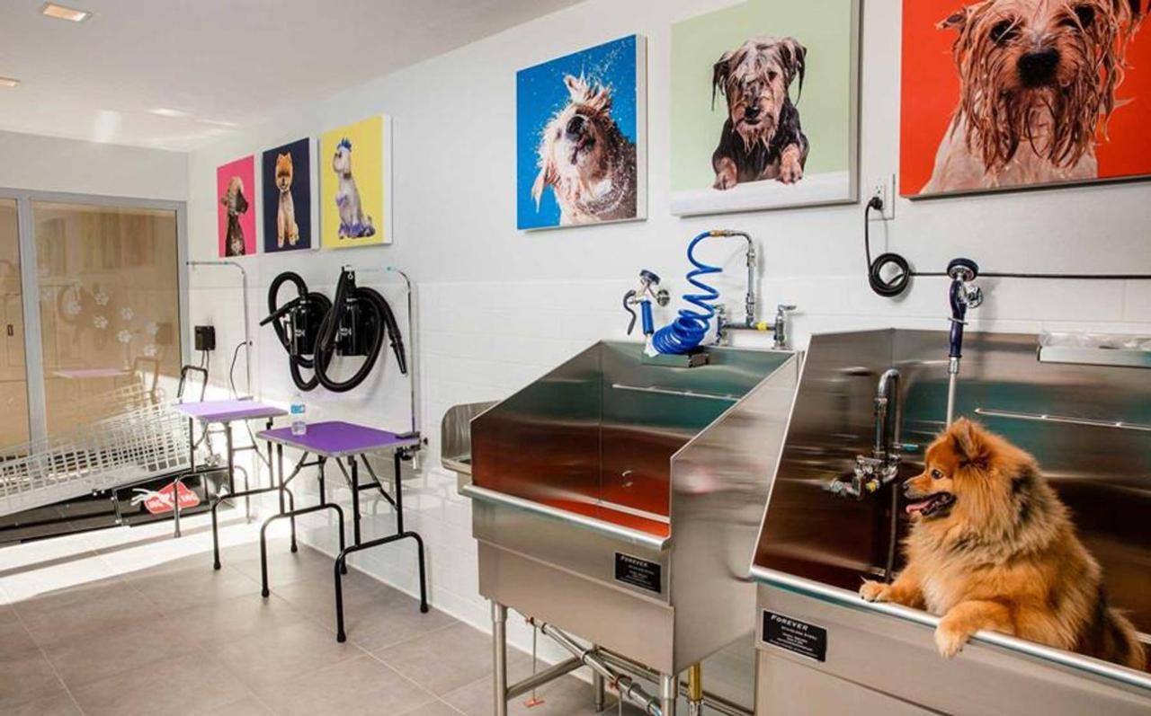 Hollywood 1br W Pool Gym Nr Santa Monica Blvd Lax-903 Apartment Los Angeles