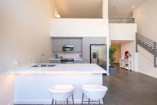 1500 Sq Foot, 3 Bed Loft In Dtla *