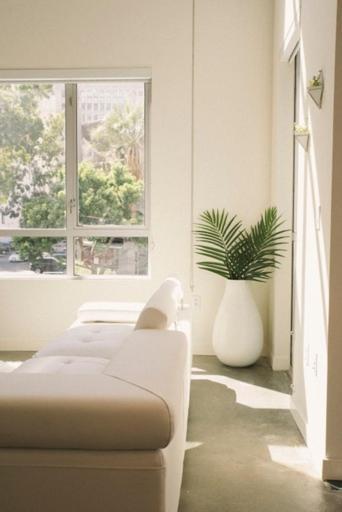 1500 Sq Foot, 3 Bed Loft In Dtla