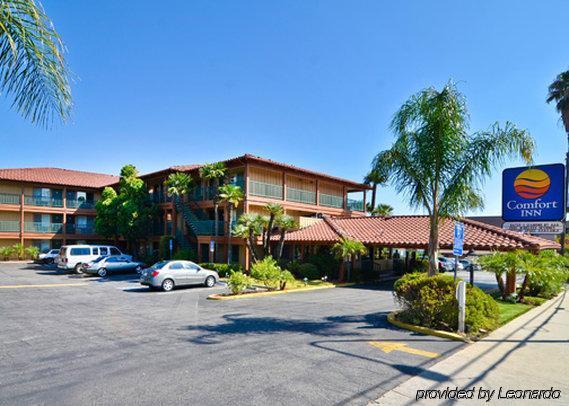 818 + Pool, Ascend Collection By Choice 3* Los Angeles