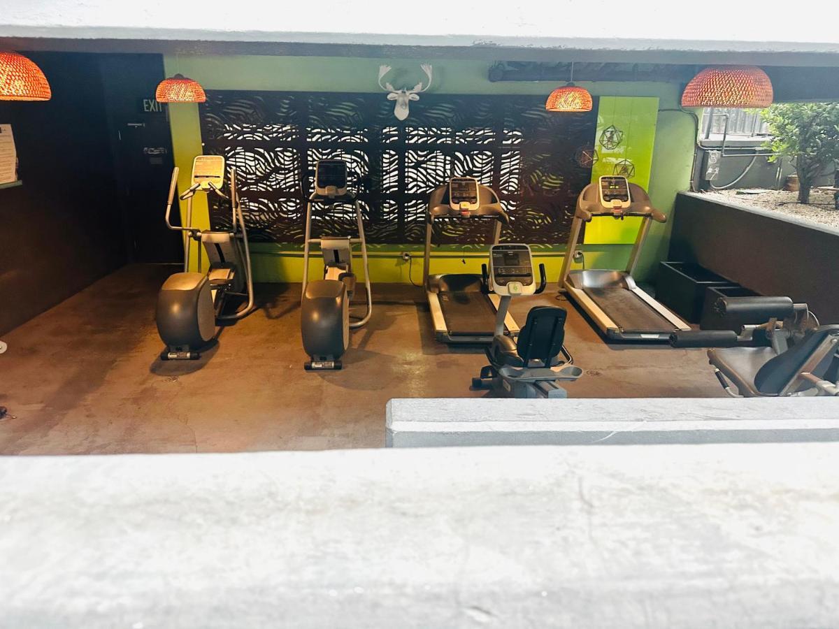 Apartment Sweet Spot In Koreatown Angeles Los Angeles