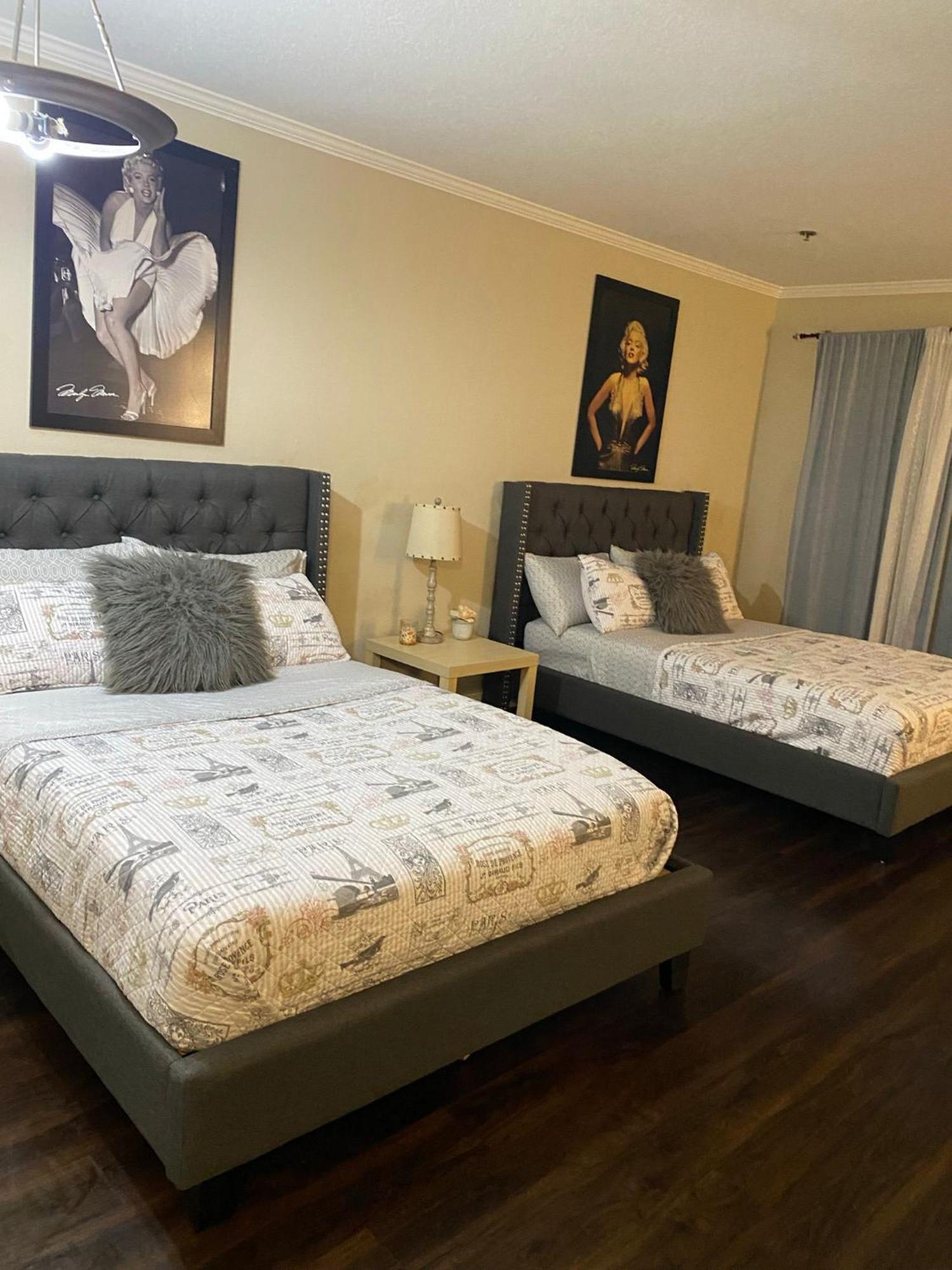 Hollywood Loft Spacious With 2 Beds And Parking Apartment *