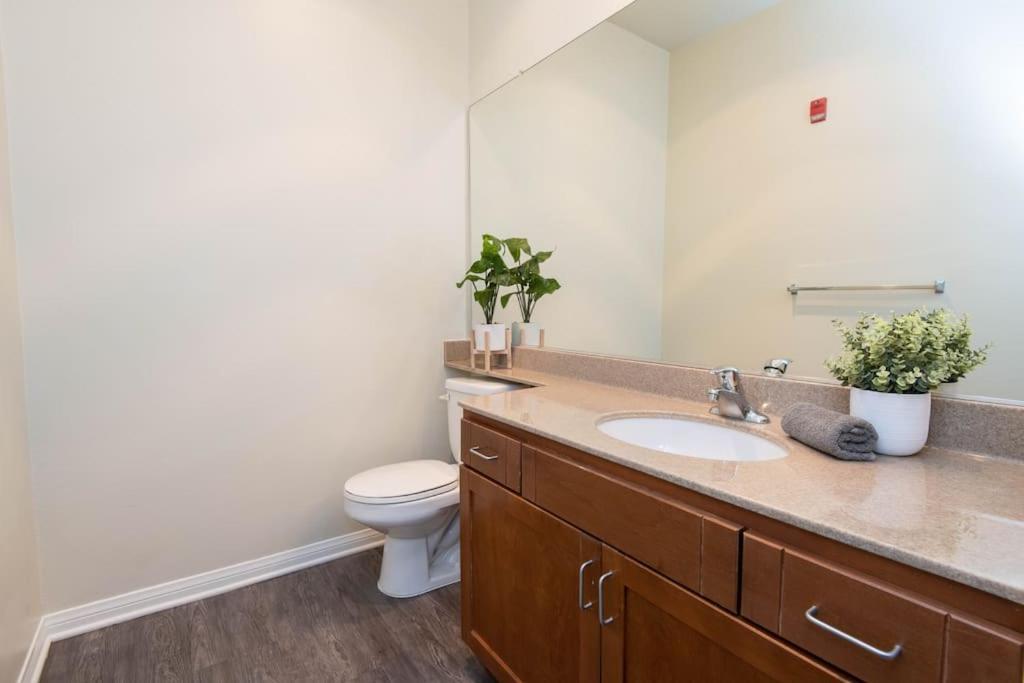 Apartment Cozy 2bed Next To Convention Center/la Live *