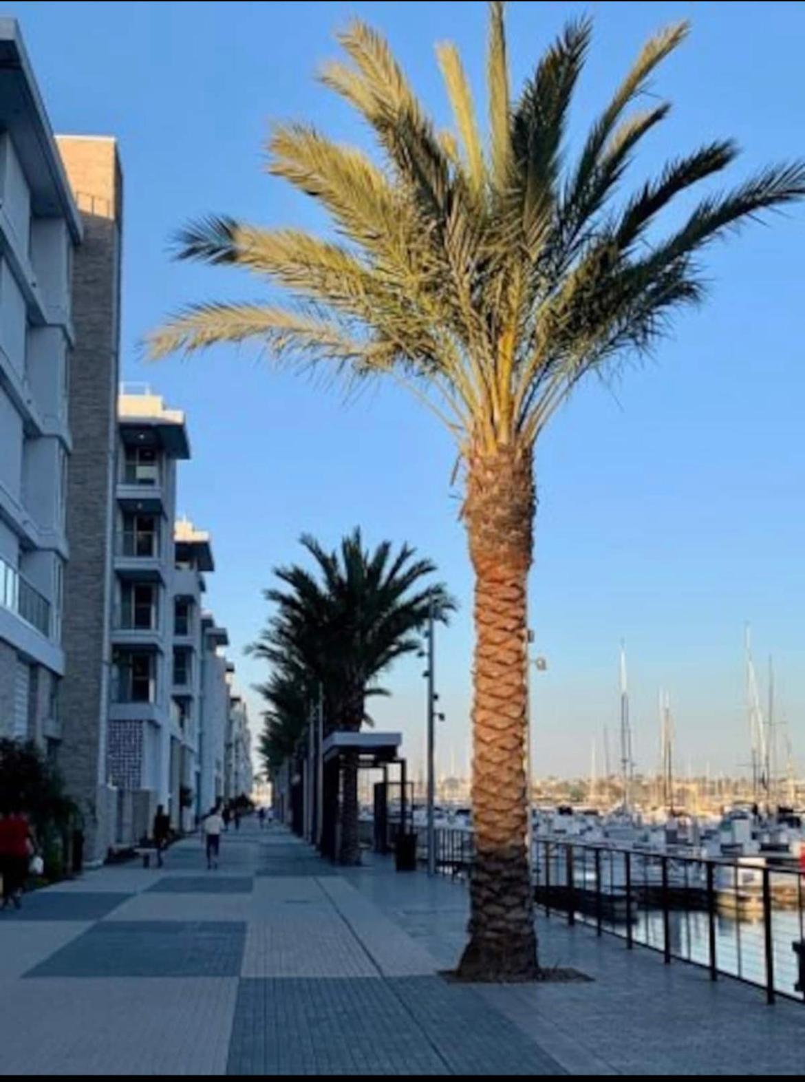 Venice Lux Retreat Coastal Haven Apartamento