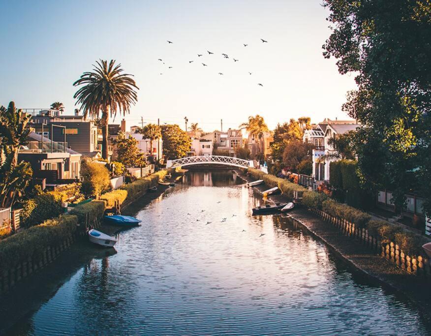 Artistic Venice W/rooftop Apartamento