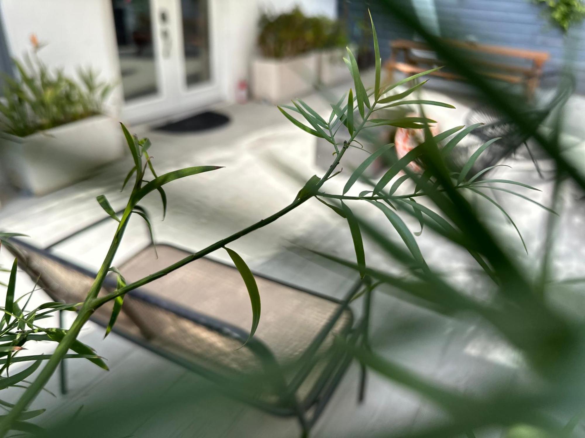 Getaway In Private Garden Terrace W Luxury Amenities Pousada