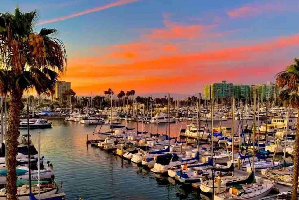 Spacious 2 Bedroom Venice Apartment *