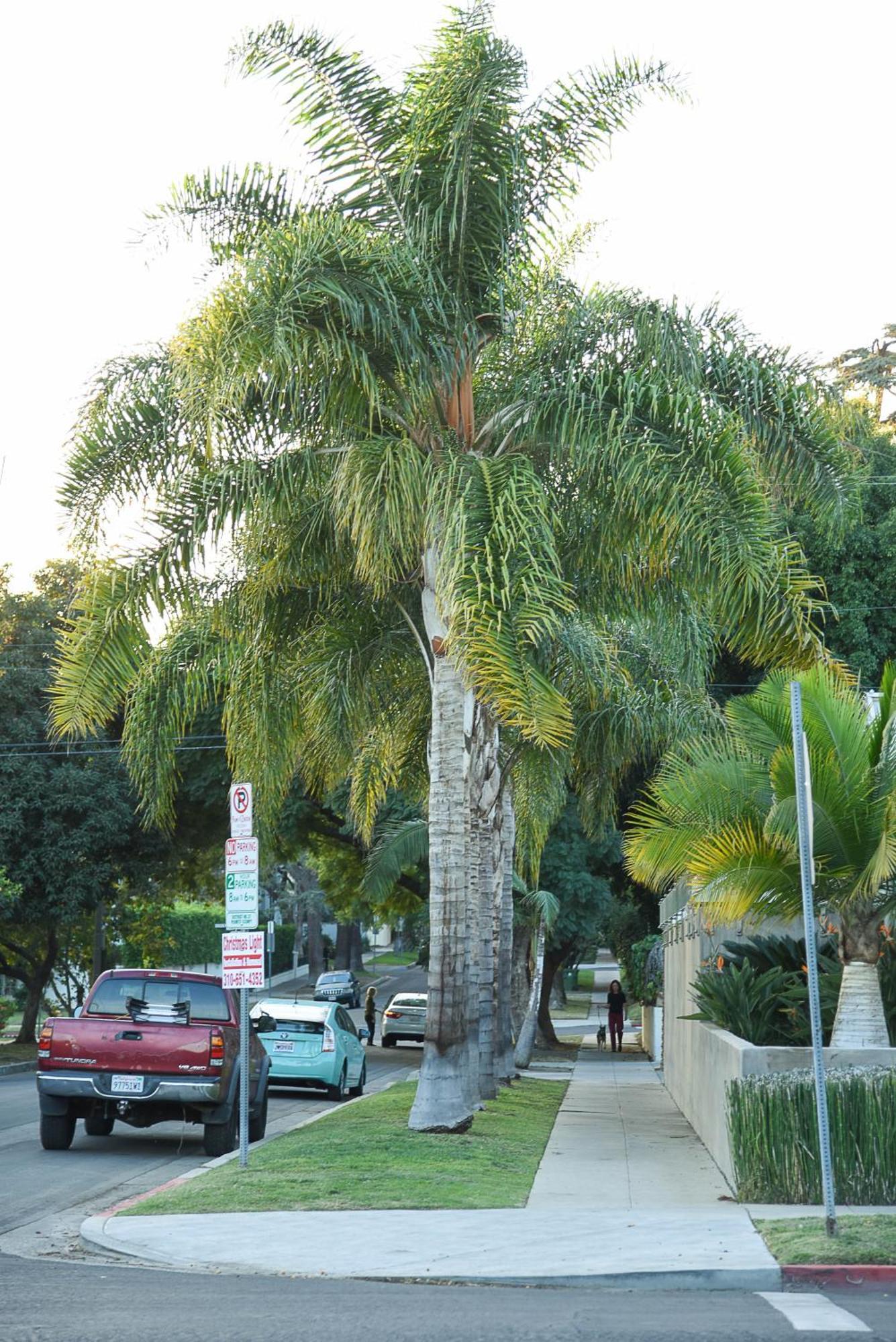 Hollywood Guest house Los Angeles