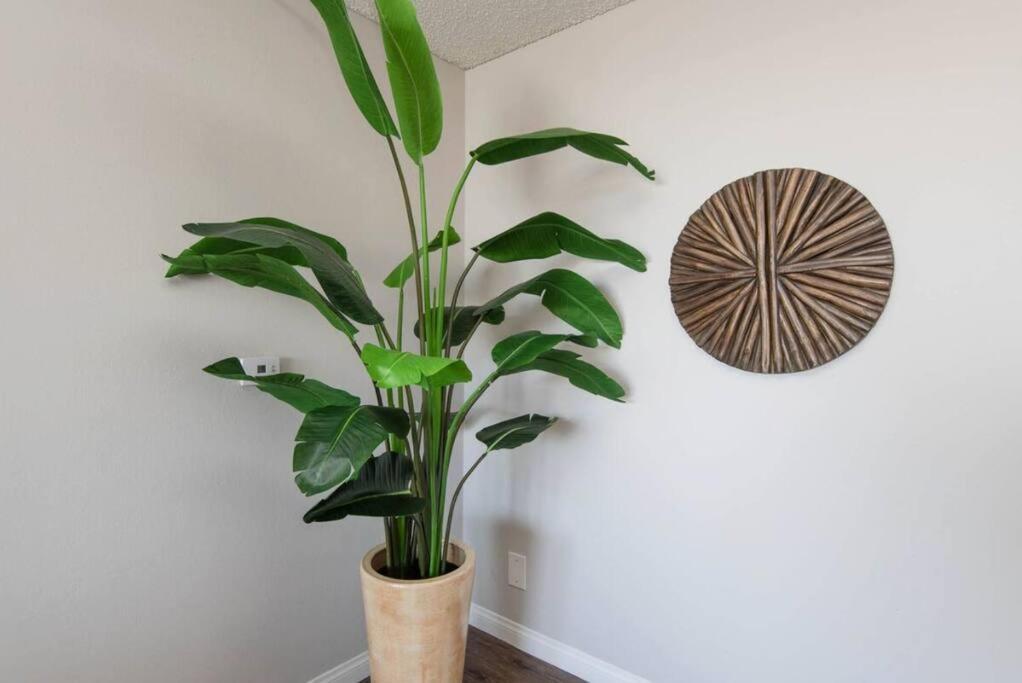 Hollywood 2bed W Rooftop Pool & Panoramic View Apartment Los Angeles