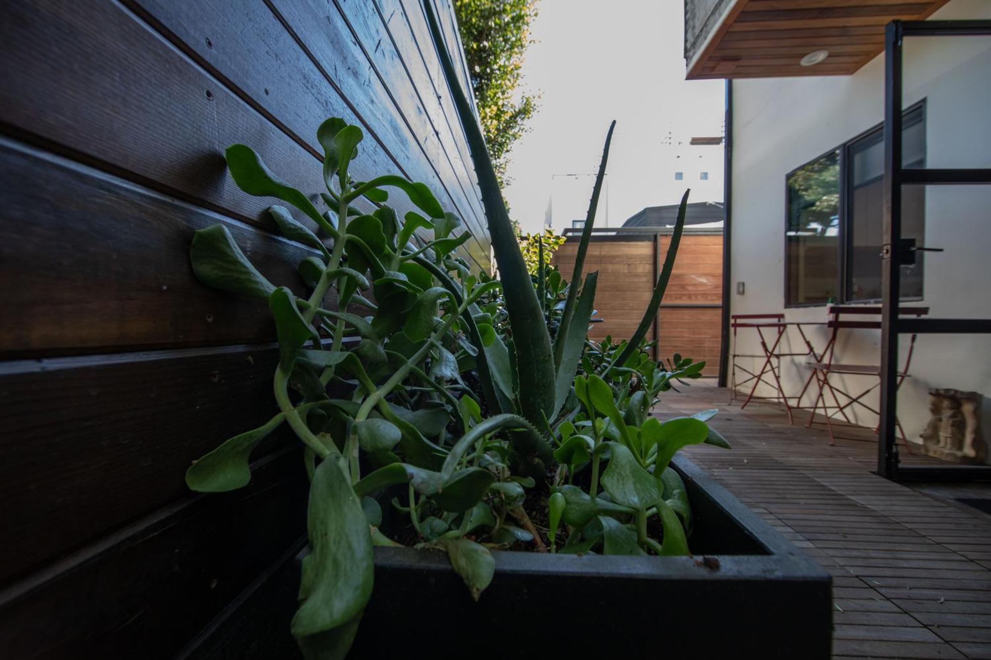 Artspace Venice Studio With Patio *