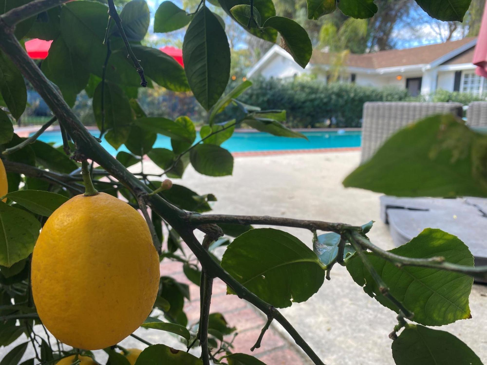 Holiday home With Private Entry And Large Pool *